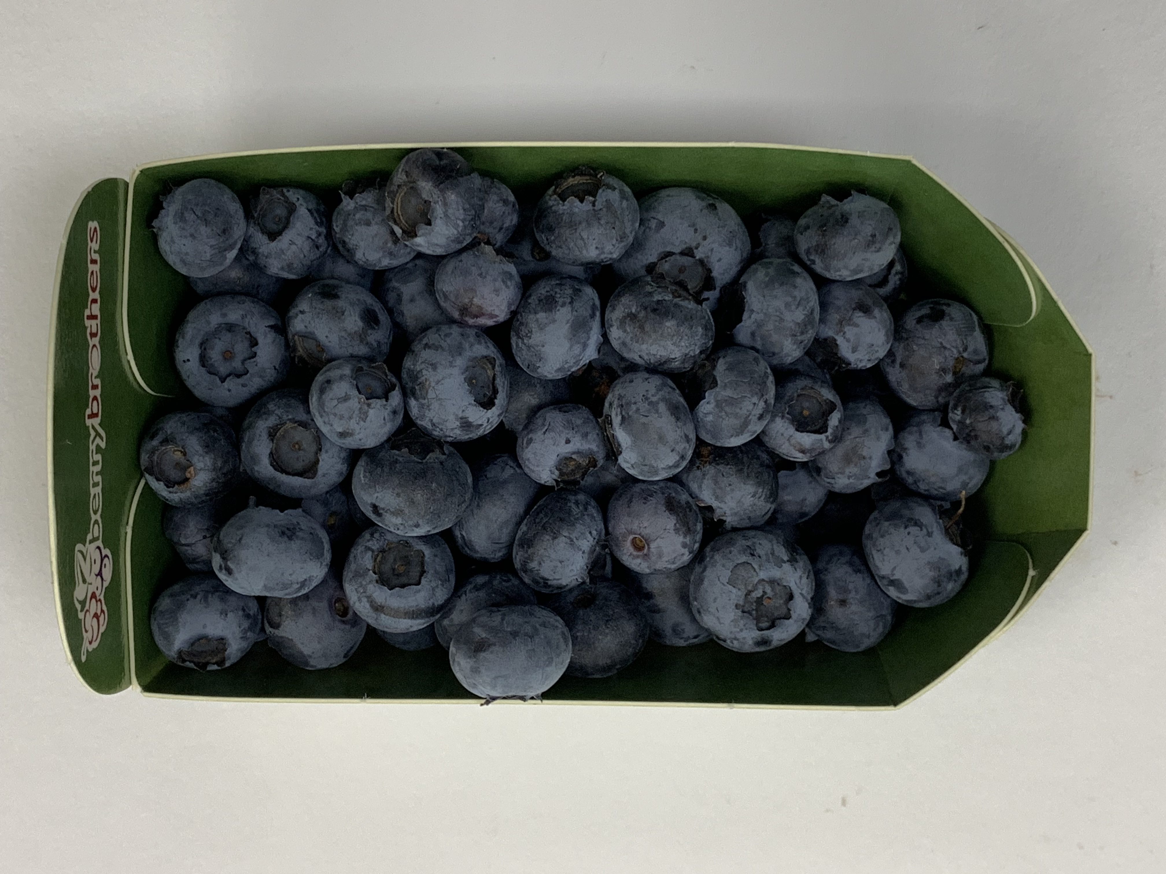Blauwe bessen - Groente Fruit